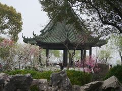 -无锡蠡湖国家湿地公园-蠡园