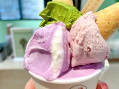 -鹤茶野所(上海首店)