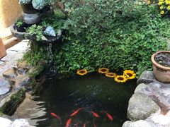-苍山感通索道