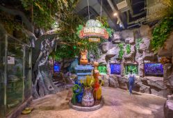 -宝燕乐园(闵行旗舰店)