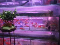 -万卉源鲜花店(百尚生活广场店)