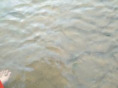 -古柏渡飞黄旅游区