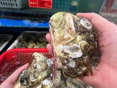 -坛南湾阿强农家乐.海鲜大排档老字号(福州地标美食店)