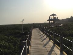 -北海金海湾红树林生态旅游区