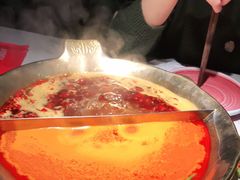 -九鼎轩脆毛肚火锅(三钢里店)