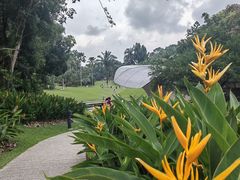 -新加坡植物园