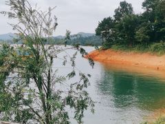 -广州市流溪河国家森林公园