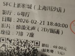 -SFC上影百联影城(川沙IMAX店)