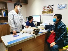 -北京派仕佳德动物医院·超导核磁·CT·神经科·骨科·内外科·急重症管理中心