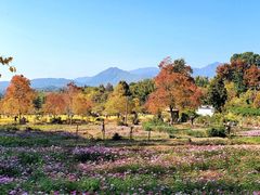 -塔川景区