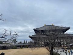 -奈良公园