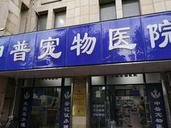 -申普宠物医院·眼科·心内科·影像科(普陀分院)