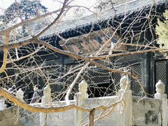 -大觉寺-停车场