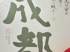 -春熙路步行街