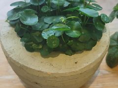 -左悦·艾灸调理·推拿按摩·精油SPA(卓悦汇店)