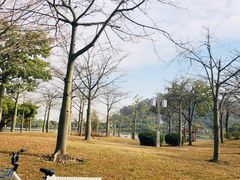 -顺峰山公园