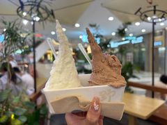 -野人先生Gelato(上海长宁龙之梦店)
