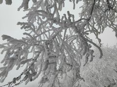 -望庐说·本地菜馆