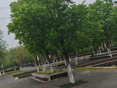 -长田漾湿地公园