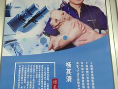 -爱侣宠医·鹦鹉专科·小型哺乳类·异宠专科(灵石路店)