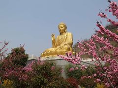 -大伊山景区