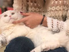 -猫和宫(六道口店)