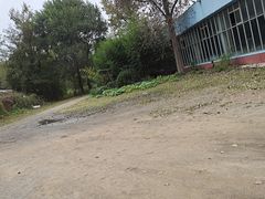 -秦皇岛野生动物园