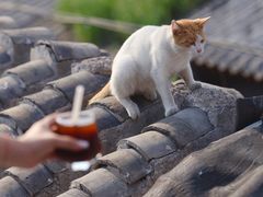 -前叁門