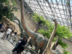 -国家自然博物馆