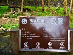 -都江堰中华大熊猫苑