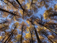 -硗碛藏寨·神木垒景区