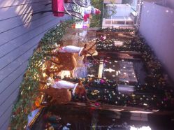 iphone_upload_pic-侨治发型