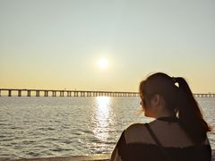 -宝安西湾红树林湿地公园