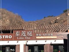 -Local泰莲庭(虹鳟鱼店)