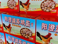 -乡乐园蟹庄·阳澄湖农家乐