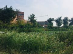 -茯茶镇