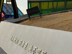 -荷兰花海