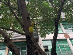 -情缘鲜花店(汾阳店)