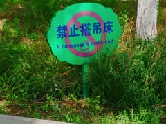-大兴滨河森林公园