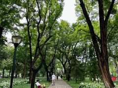 -玲珑塔公园