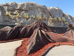 -北京西山国家森林公园