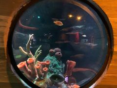 -沈阳海洋探索中心