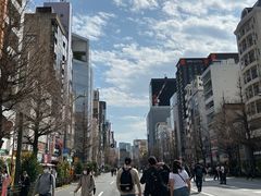 -秋叶原电器街