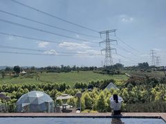 -紫颐香薰山谷景区