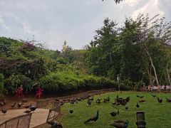 -西双版纳勐泐文化旅游区