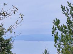 -千岛湖天屿景区