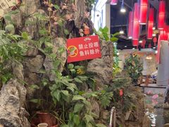 -丰圆轩粤式茶楼 . 点心粤菜(夏茅店)