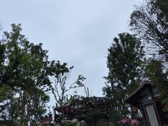 -国色天乡三期陆地乐园