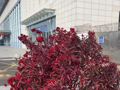 -惠东南站