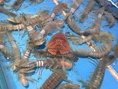 -钱山海鲜大排档